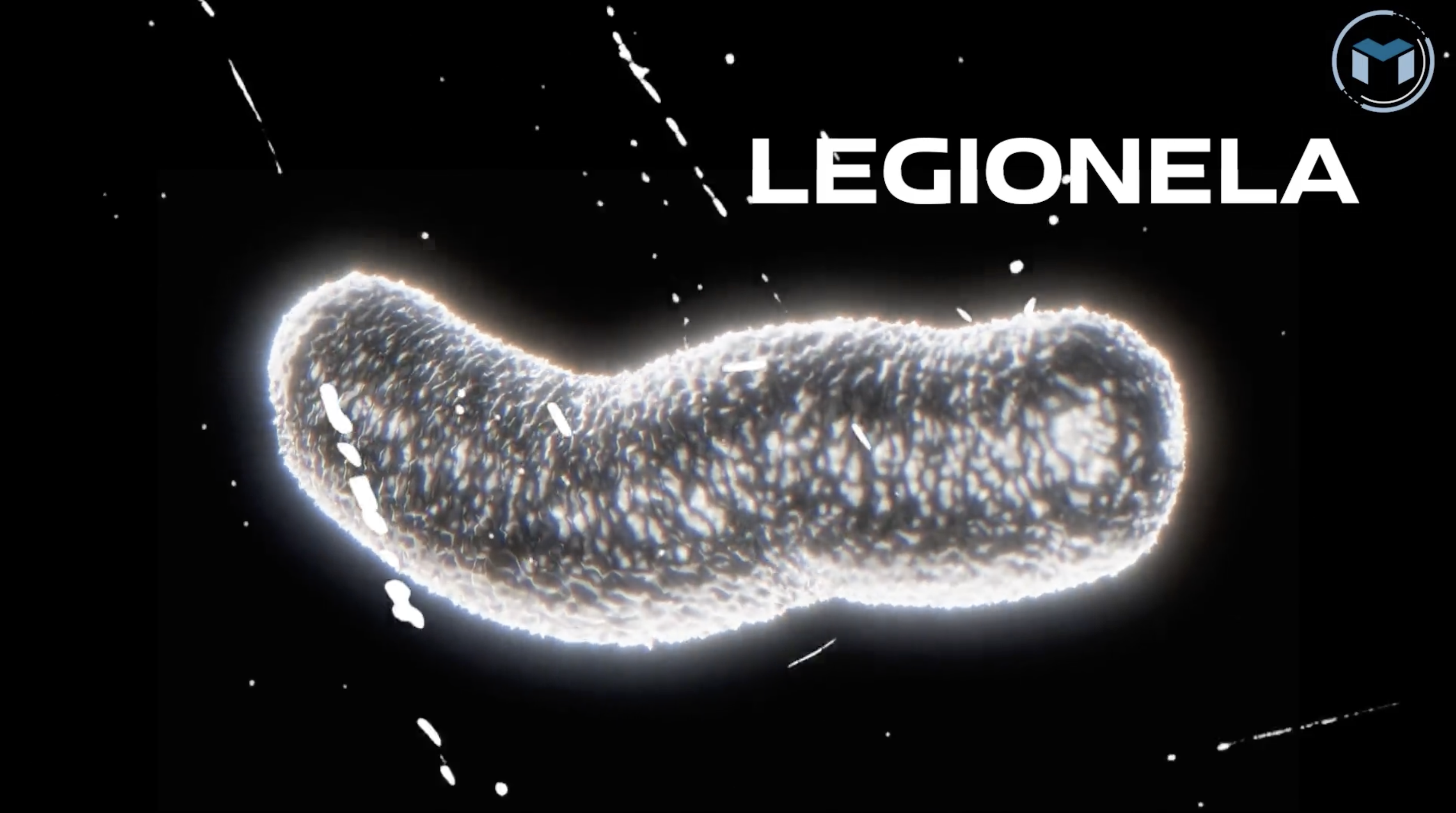 Legionelosis